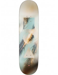 Globe G1 8.25" Daydream - Plateau de skateboard