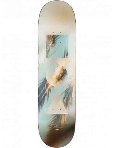 Globe G1 8.25" Daydream - Plateau de skateboard