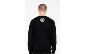 SANTA CRUZ SW Logo Mash Crew Sweatshirt - Noir porté