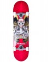 BIRDHOUSE Stage 1 Tony Hawk Icon 8" Red - Skateboard Komplett