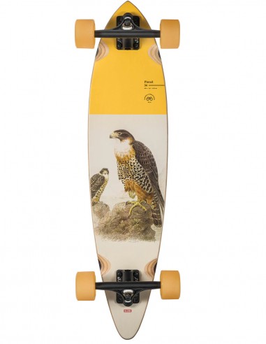 Longboard Globe Pintail 34" Falcon