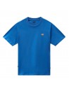 DICKIES Mapleton - Blauw - T-shirt