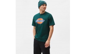 DICKIES Icon Logo - Ponderosa Pine - T-shirt - mannequin