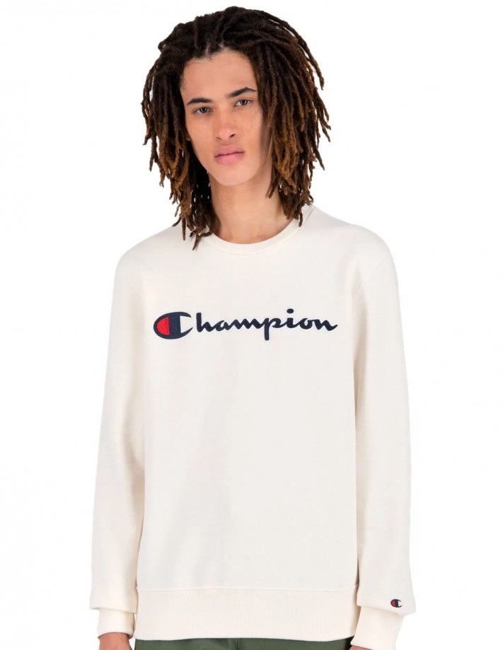 Champion rochester sweatshirt best sale