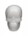 ANDALE Skull White - Wax