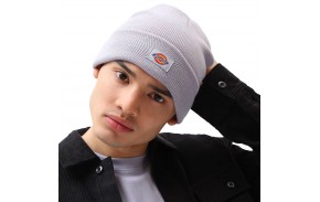 DICKIES Gidsland - Gris - Bonnet homme