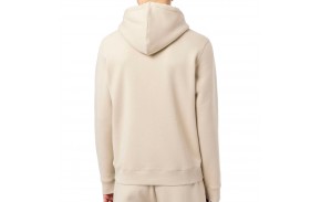 DICKIES Oakport - Beige - Sweat à Capuche de dos