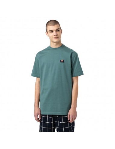 DICKIES Mount Vista - Green - T-shirt - vue de face