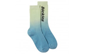 DICKIES Seatac - Celadon Green - Chaussettes