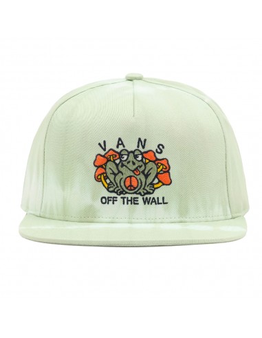 VANS Peace of Mind - Light Green - Casquette - vue de face