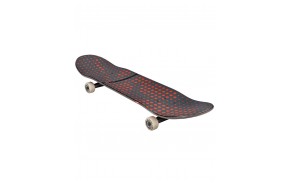 Skate Globe G2 Dot Gain 8.125 - Complet