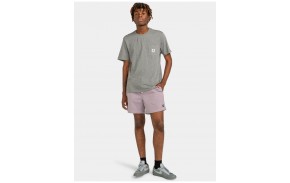 ELEMENT Valley Twill - Lavender Gray - Short Skate