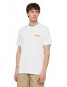 DICKIES Ruston - White - T shirt