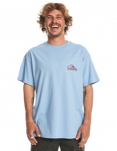 Quiksilver Take Us Back Logo - Hortensie - T-Shirt