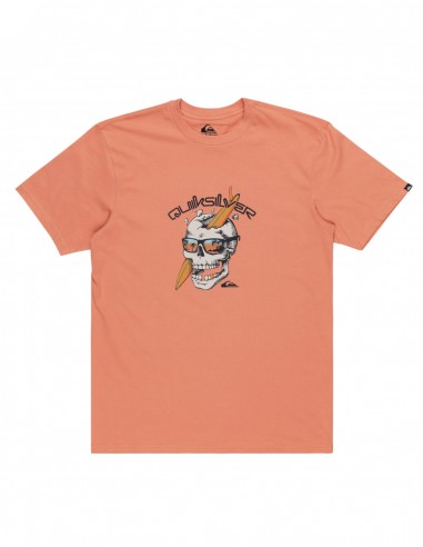 Quiksilver One Last Surf - Canyon Clay - T-shirt