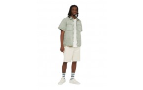 DICKIES Cobden - Whitecap Gray - Short