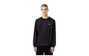 DICKIES Mapleton - Black - Long Sleeve T-shirt