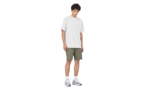 DICKIES Summerdale - Light Gray - T-shirt