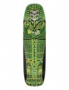 CREATURE DECK Navarrette Pharaoh XL Pro 32.82" - Deck of Skateboard
